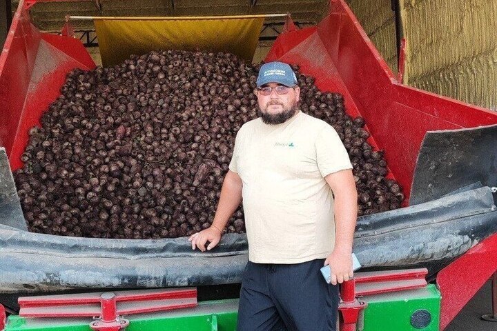 Аграрии Предгорья собрали 1,5 тысячи тонн моркови и свёклы