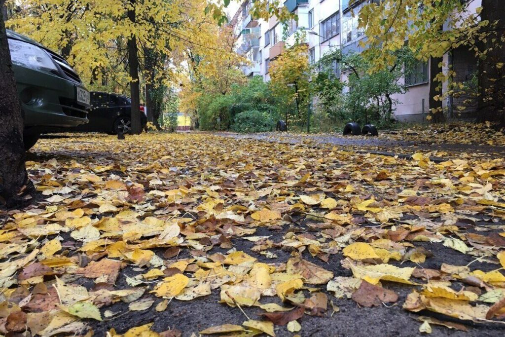 Синоптики пообещали воронежцам дождливую и ветреную погоду