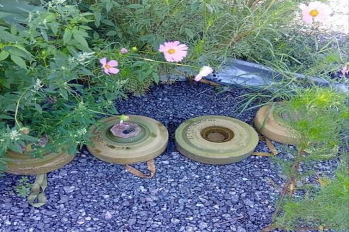 В Курской области за неделю разминировали более 6000 га