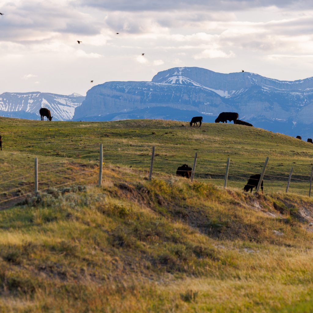 Republicans in Congress Show Signs of Angst Over Trump’s Trade War