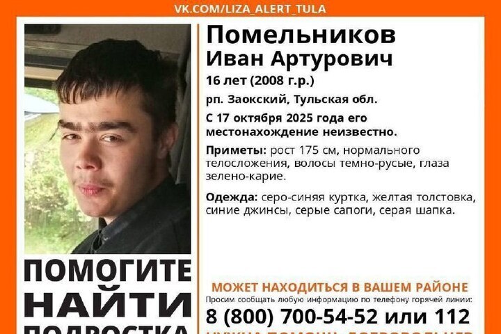 В Тульской области разыскивают пропавшего 16-летнего подростка