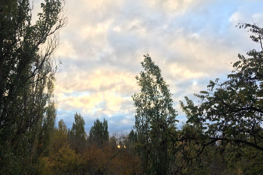 Ночью 15 октября в воронежском небе уничтожили 9 вражеских БПЛА