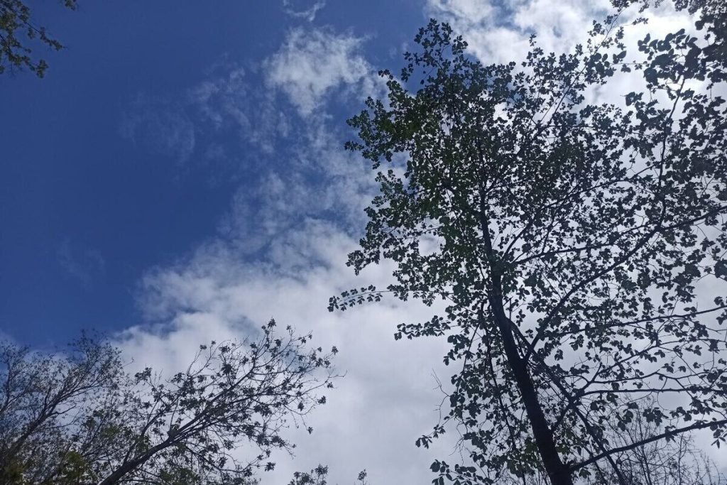 Костромскую область раскачает на температурных качелях