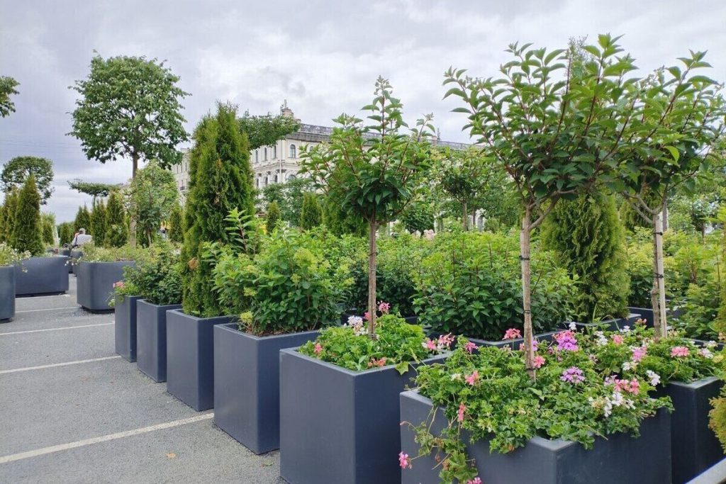 Заместитель руководителя Ботанического сада раскритиковал сады-трансформеры