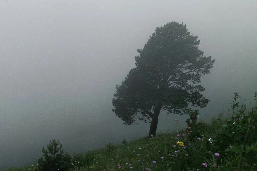 Maltempo in arrivo nella regione di Krasnodar: avvertimento di tempesta emesso per forti venti e piogge intense