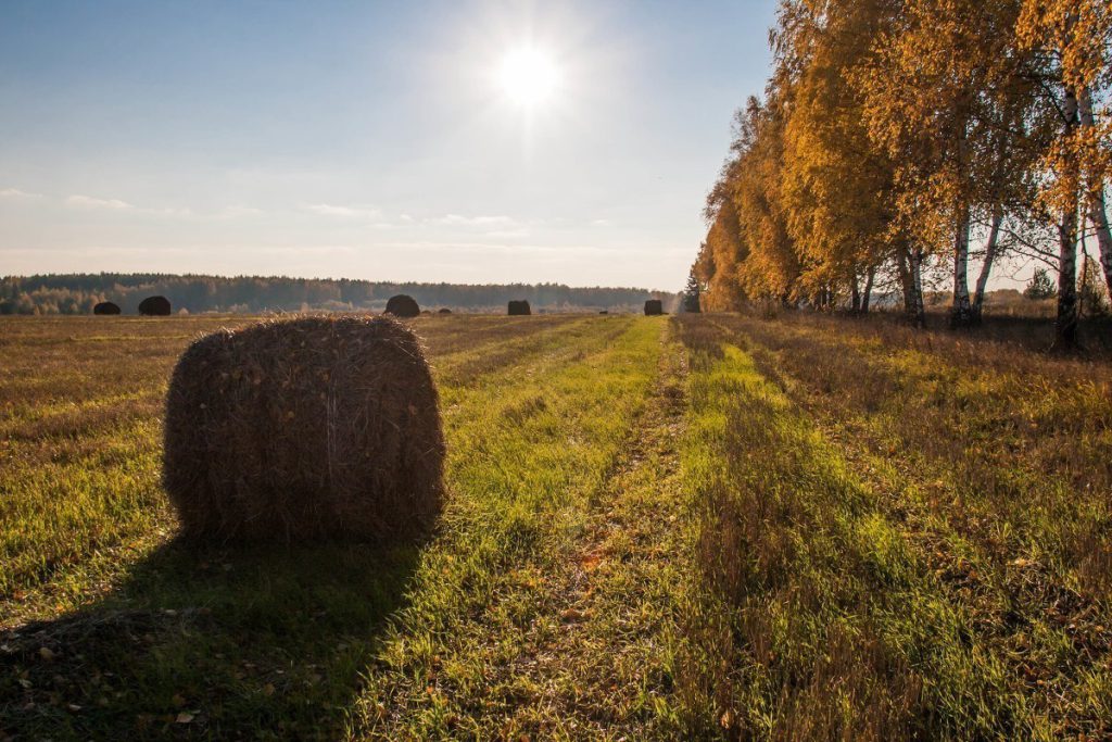 La Festa di Haritina in Russia: Una Tradizione che Segna la Fine dei Lavori Agricoli e l&#039;Inizio di un Nuovo Ciclo di Attività Domestiche