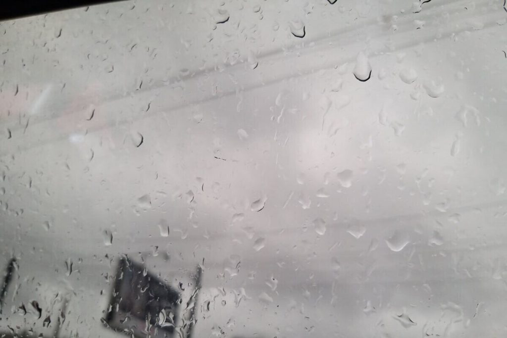 В Ленобласти 15 октября местами будут дожди и до +8 градусов