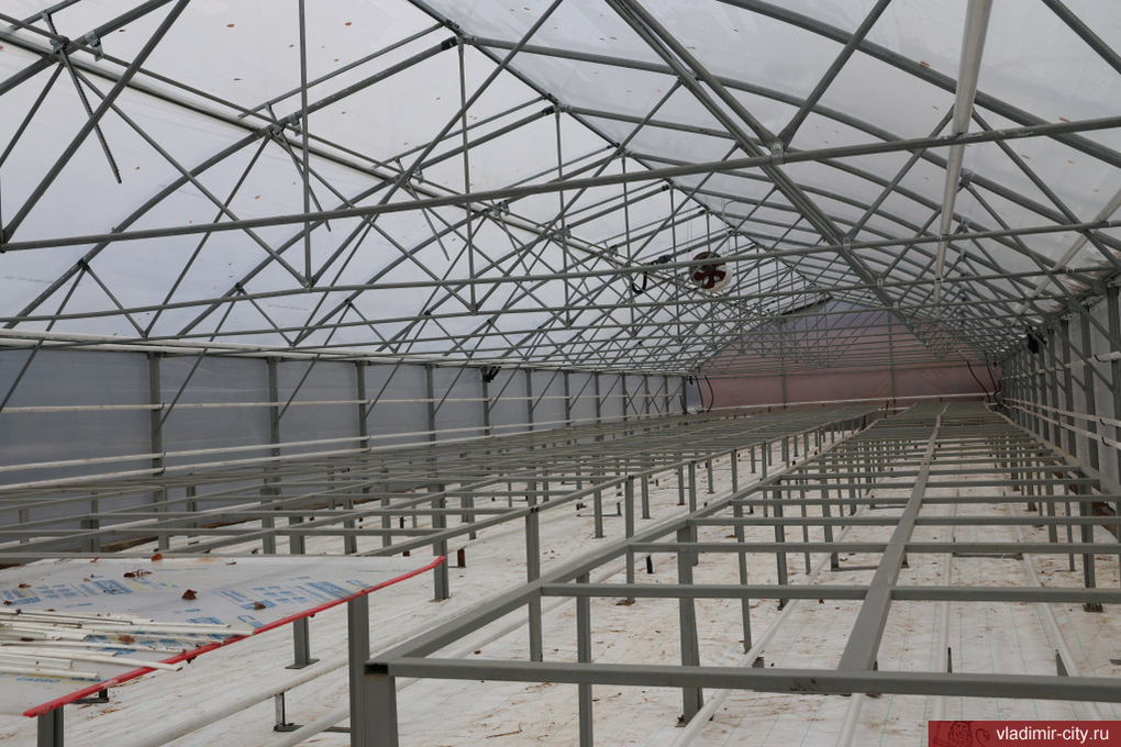 Новая теплица для цветов открывается во Владимире: что будут выращивать