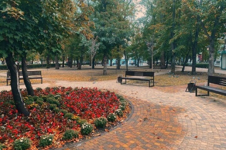 Čerkessk verso una città più verde: 90 nuovi alberi per migliorare la qualità dell&#039;aria e della vita dei cittadini