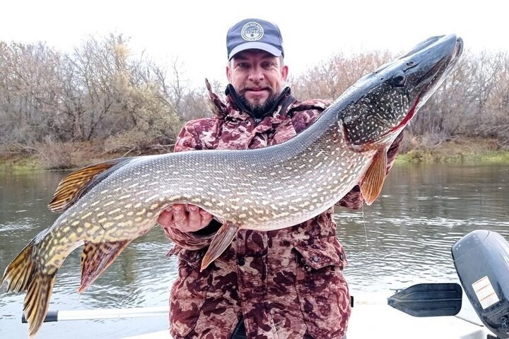 Рязанский рыбак поймал щуку весом более 8 килограммов