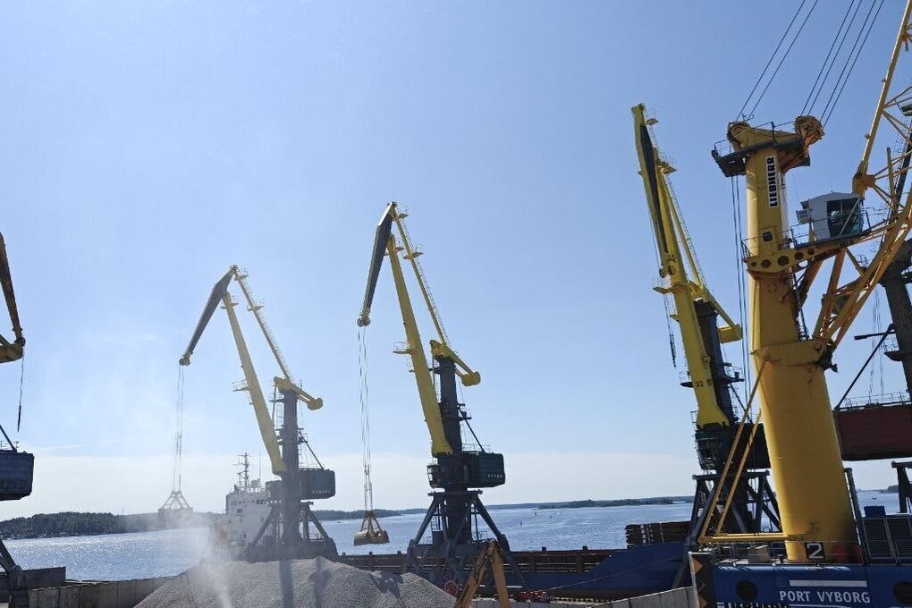 Между Петербургом и Бразилией запустят грузовое морское сообщение