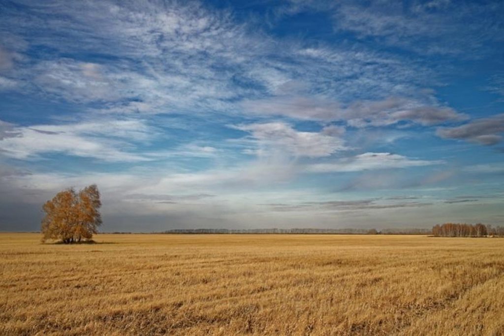 Завтра по приметам можно определить погоду в Калмыкии