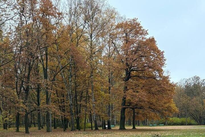 Previsioni meteo eccezionali per Krasnojarsk: sabato 25 ottobre sarà caratterizzato da tempo insolitamente caldo e soleggiato