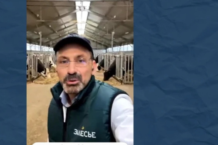 В Калининград прибыли 6 породистых быков из Америки