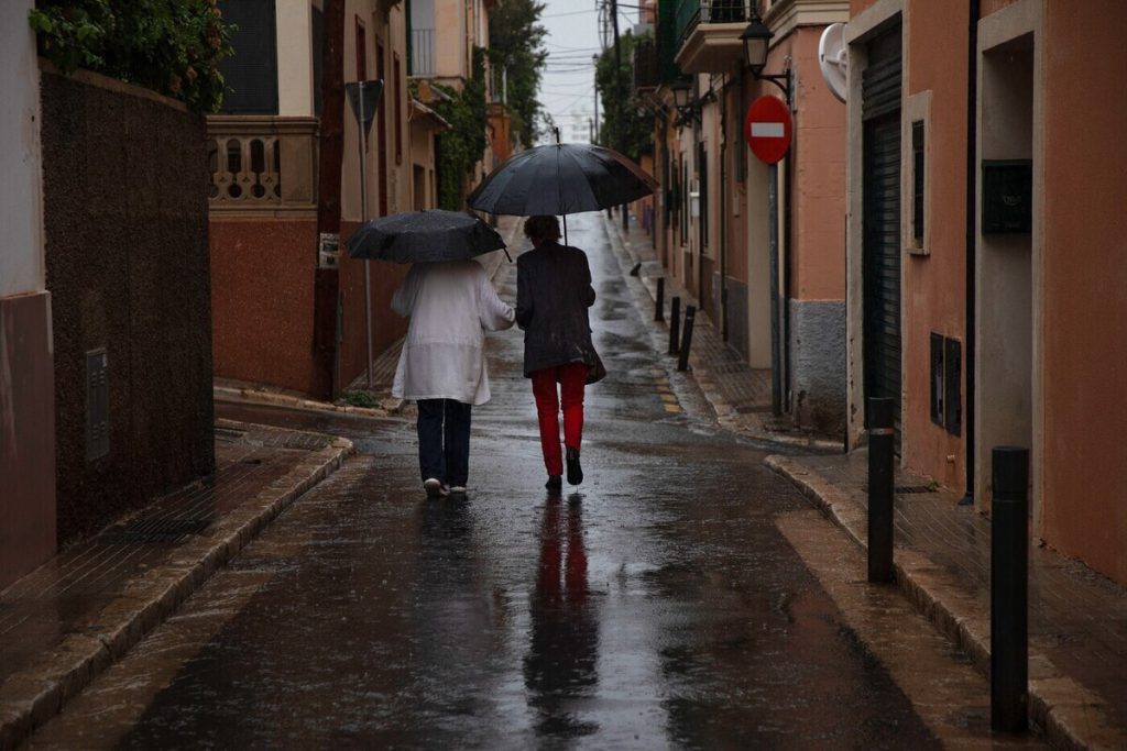 Il Calo dell&#039;Immunità in Autunno: Fattori di Rischio e Strategie di Prevenzione per una Salute Migliore