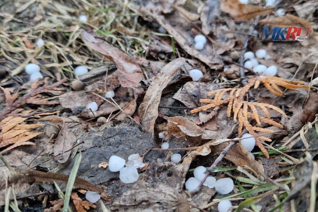 Крупный град прошёл в Александро-Невском районе Рязанской области