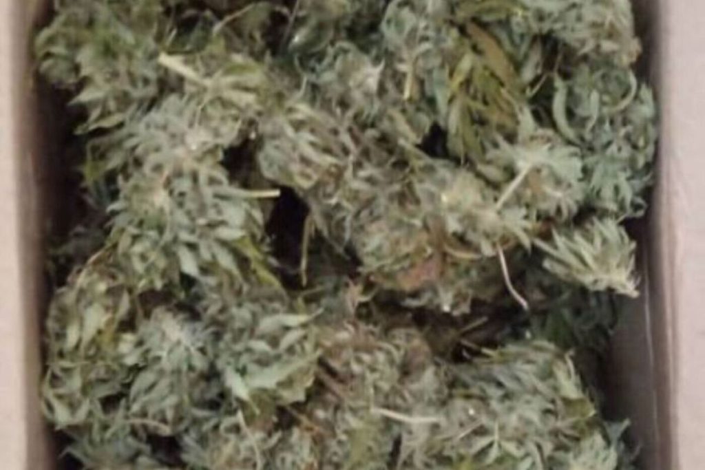 В Калужской области взят под стражу боровчанин укомплектованный наркотиками