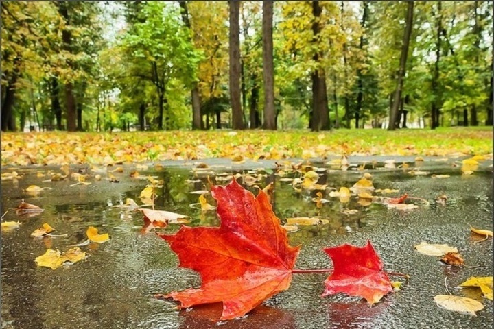 Previsioni Meteo per Nižnij Novgorod il 21 Ottobre: Cielo Coperto e Pioggia Attesi