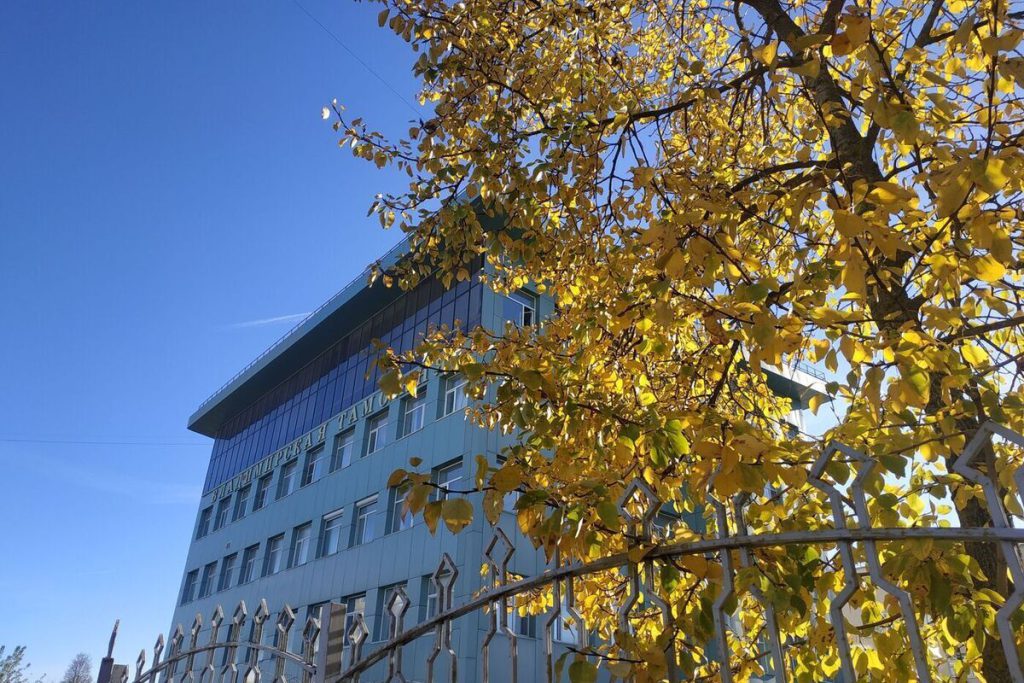 Bilancio della Dogana di Vladimir: Oltre 1,4 Miliardi di Rubli Versati nel 2025