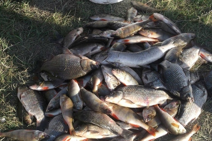 В Пучеже женщина ловила рыбу по-крупному