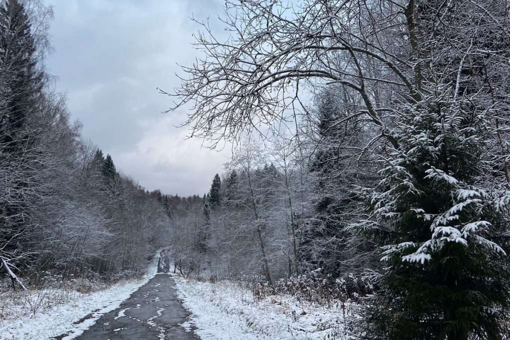 В Гидрометцентре сделали прогноз по поводу предстоящей зимы
