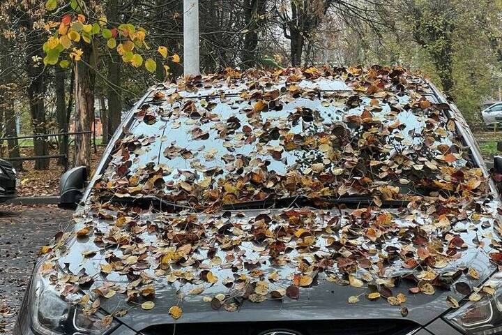 Какие автодетали воруют чаще всего, рассказали страховщики