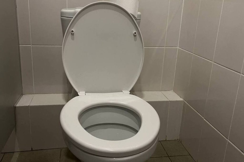 Роспотребнадзор Петербурга предостерег школу № 291 за отсутствие дверей в туалетах