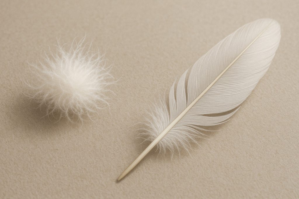 Китай закупил более 300 тонн утиного пуха в Новосибирской области