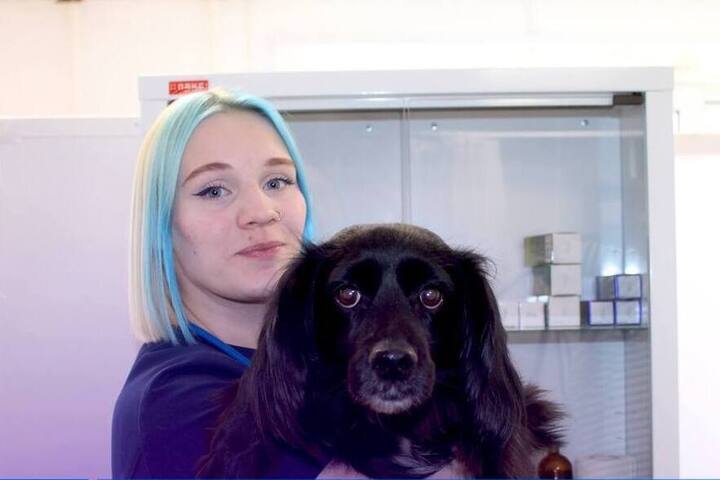 Соцконтракт помог белгородской студентке открыть веткабинет