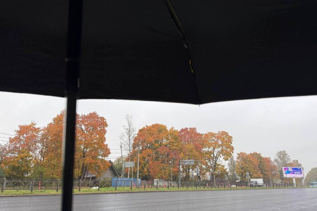 В Петербург 14 октября нагрянул циклон и принес с собой облака, прохладу и дожди