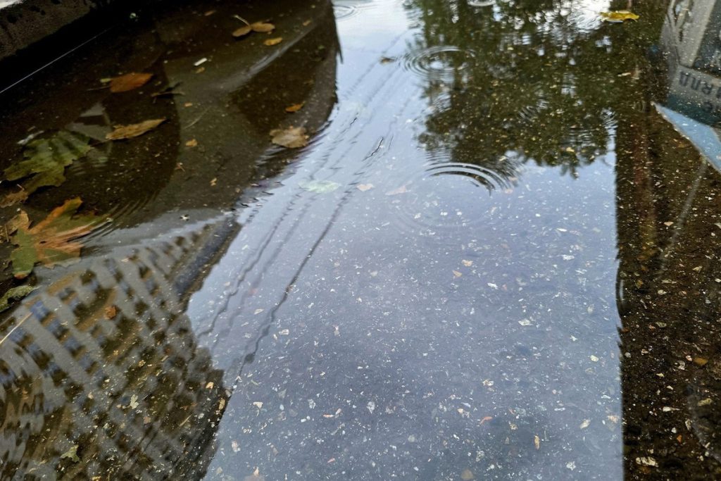 В воскресенье на Кубани ожидается дождливая и тёплая погода