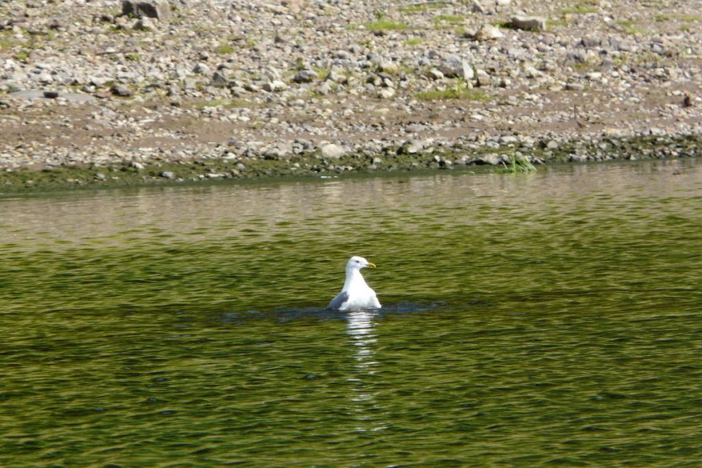 Погода в Поморье: преимущественно без осадков