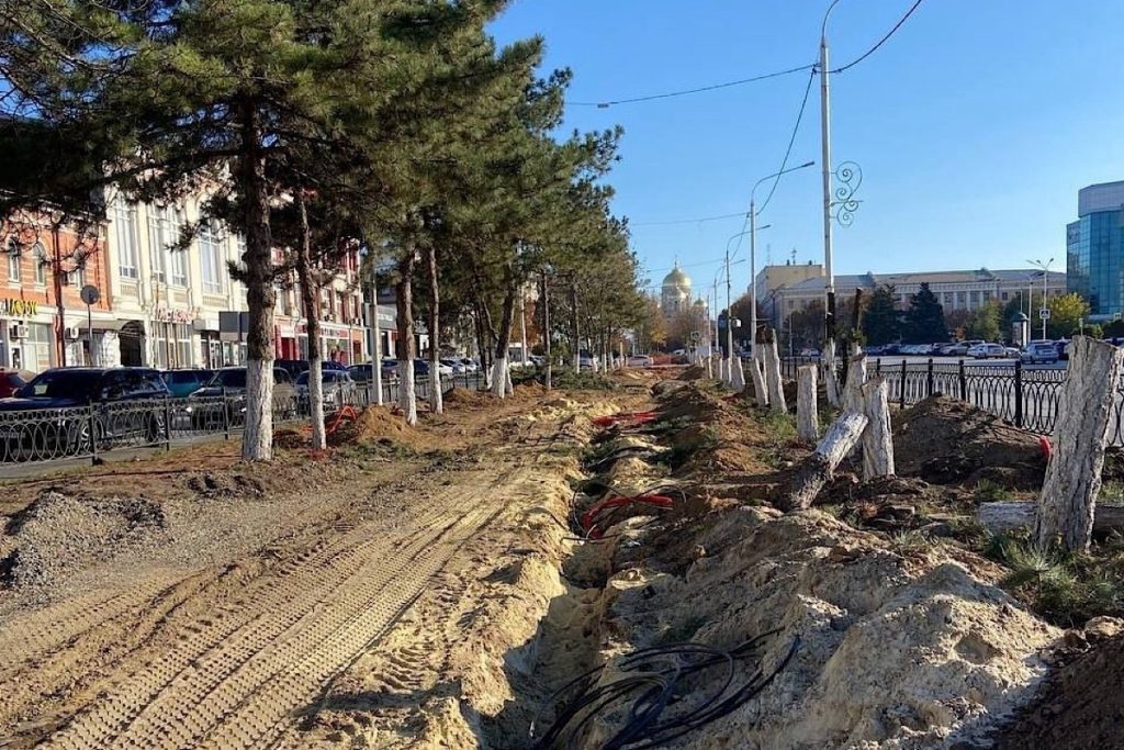 Новочеркасске в ходе работ по благоустройств уничтожена целая аллея крепких сосен