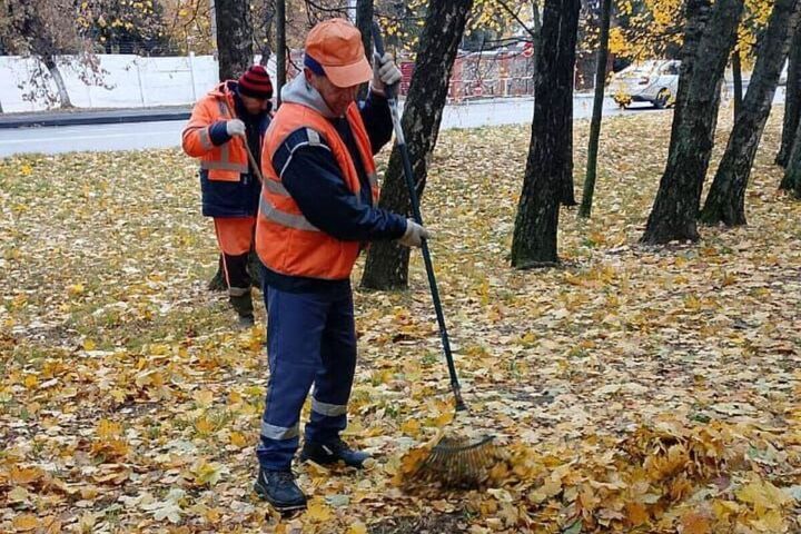 Previsioni Meteo per la Regione di Kursk: Temperature Mite e Cieli Sereni il 16 Ottobre