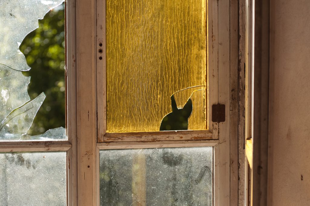 В Тверской области устраняют повреждения после ликвидации вражеского БПЛА