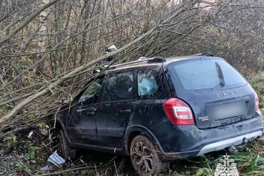 В Тверской области машина съехала в кювет, пострадал водитель