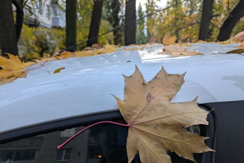 Стало известно, какие сюрпризы преподнесет погода воронежцам 14 октября