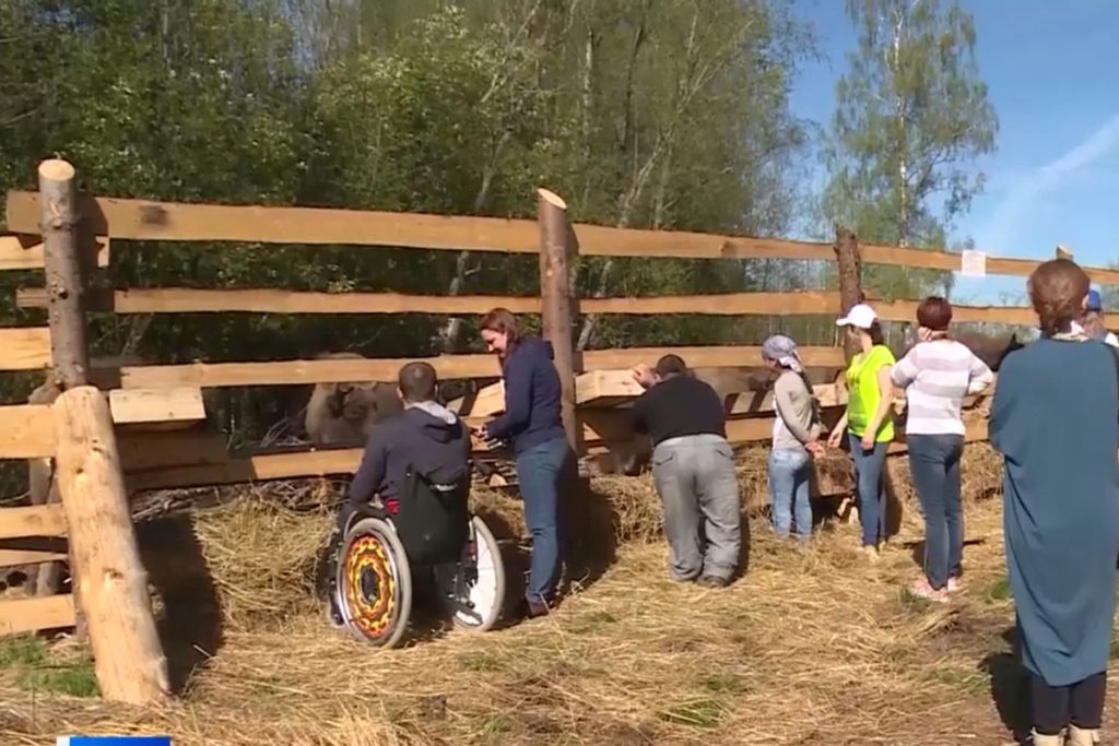 Популяция зубров в Смоленском Поозерье пополнится новыми особями