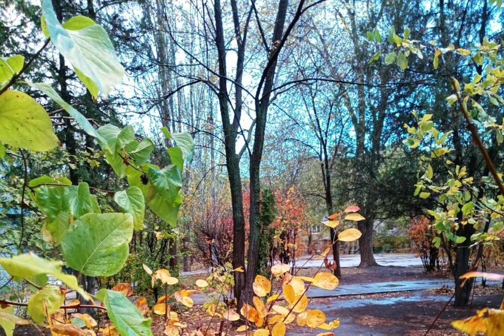 Сила магнитной бури 25 октября составит 4 балла: время оптимизма и активности