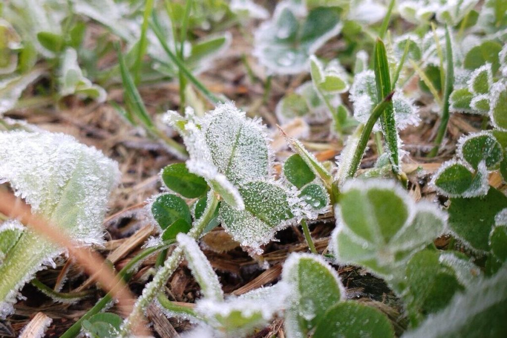 Ленинградцев 19 октября ночью ожидают заморозки, а днем до +8 градусов