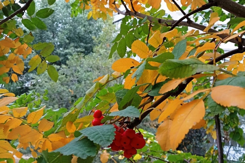 Сила магнитной бури 21 октября составит 3 балла: пора подведения итогов и окончания важных дел