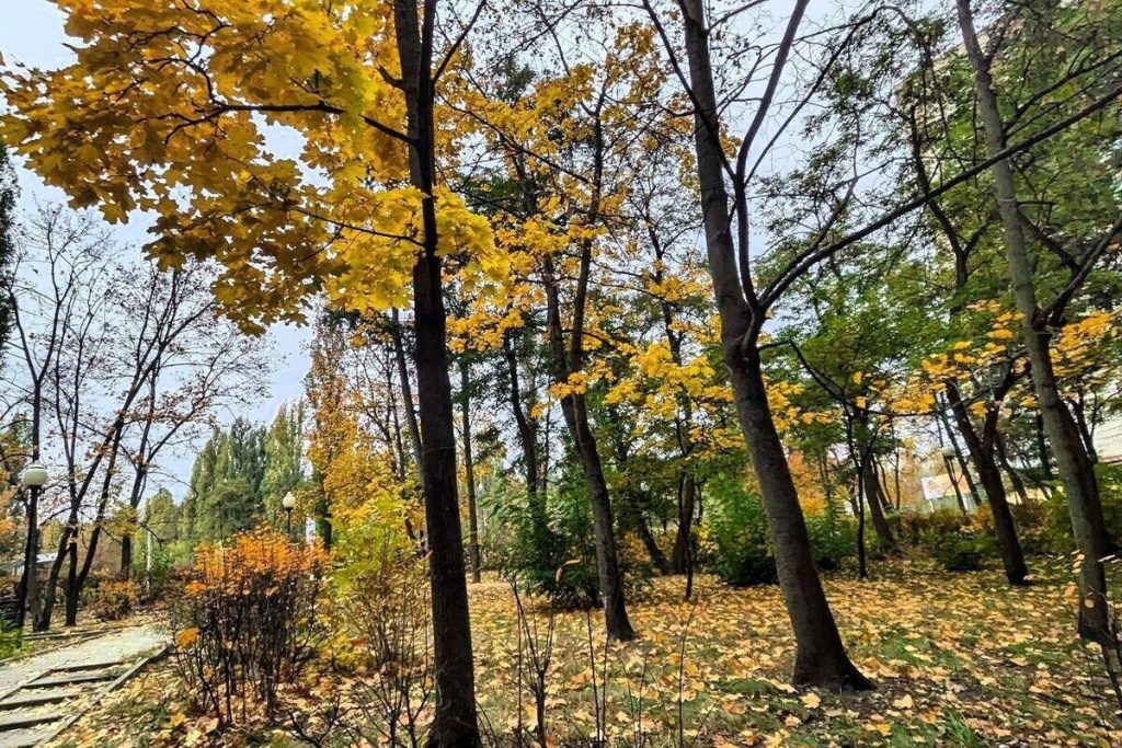 В Воронеже внезапно потеплеет к выходным