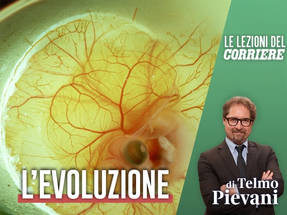 La Teoria dell&#039;Evoluzione di Darwin: Come Tutti gli Esseri Viventi Sono Connessi tra Loro