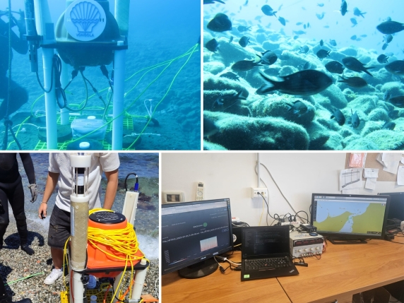 Dal &#039;canto&#039; dei gamberetti all&#039;impatto delle navi: sensori e IA per sentire la voce del mare | L&#039;audio