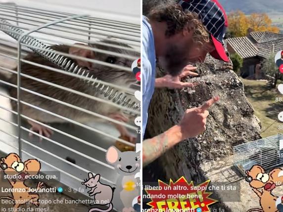 Jovanotti e il topolino sosia di Remy che gli ha mangiato i cavi dello studio di registrazione: «Ti libero e ti auguro bella vita»