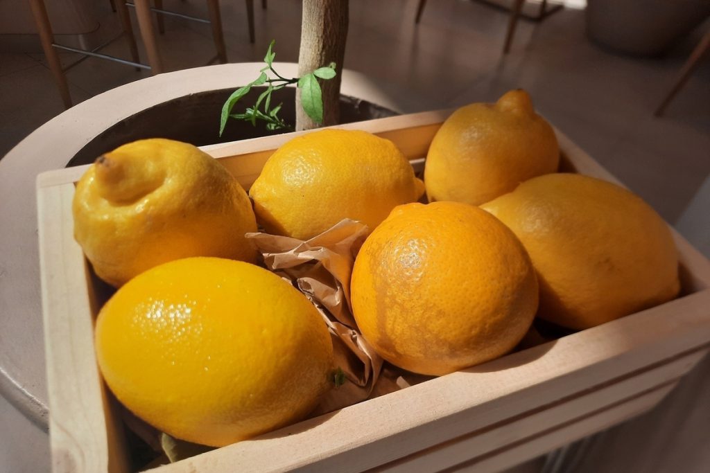 Осенний рацион: какие продукты помогут укрепить иммунитет в октябре