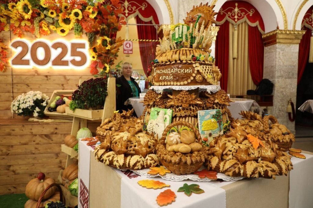 Кубанские аграрии в 2025 году собрали 11,3 миллиона тонн зерна