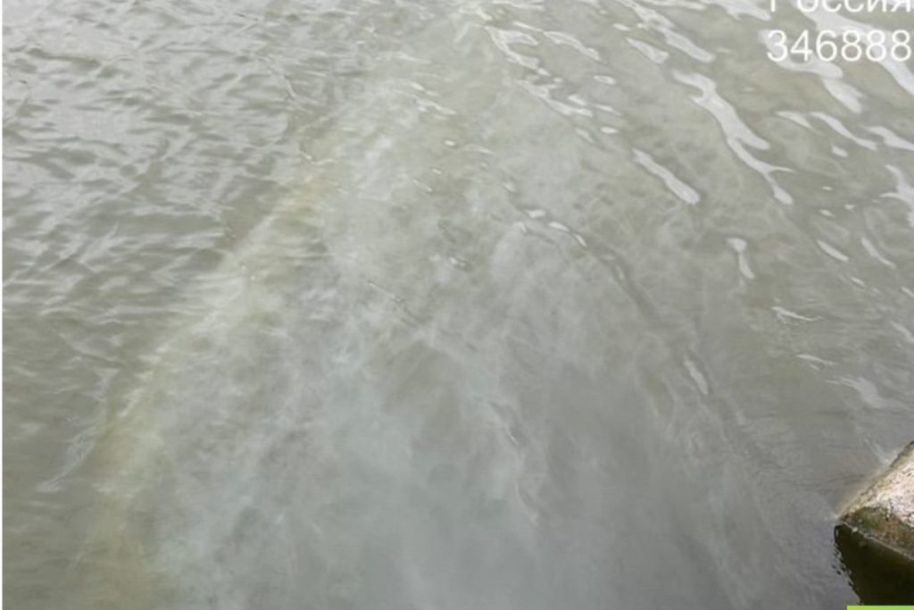 Сброс нечистот в реку Малый Койсуг в Батайске подтвердили в Минприроды