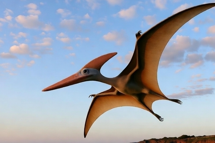 Ученые нашли летающего монстра возрастом 70 млн лет