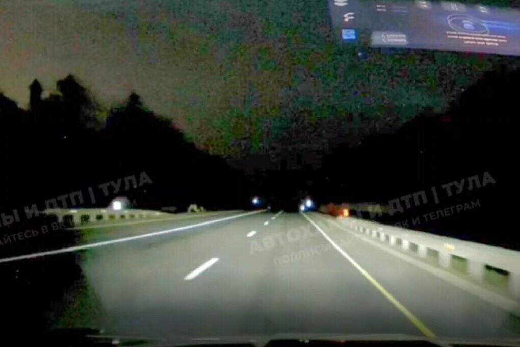 Pericoli sulla Strada M-2 vicino a Nekrasovo: Attenzione ai Cervi per una Guida Sicura